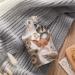 Cute Animals Hot Water Bottle with Plush Cover - Hand Warmer for Adults & Kids | 26.5x15.3cm - Buy Online on GoSupps.com
