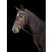 Buy Kerbl Covalliero Bridle Kingston in Brown with Gold - Premium International Shipping - Buy Online on GoSupps.com