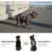 Huntboo Outbreak-Proof Dog Harness & Safety Dishes - Reflective Adjustable Vest for Small Dogs (Vista Blue Size S) | Shop Now - Buy Online on GoSupps.com