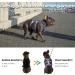 Huntboo Escape Dishes & Harness for Large Dogs - Reflective Durable Adjustable Vest (Vista Blue XL) - No Pull Design Perfect for Training & Walks - Buy Online on GoSupps.com
