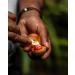 Organic Nutmeg Whole 1.5 oz - Premium Grade Fairtrade Spice | Freshly Harvested & Aromatic - Buy Online on GoSupps.com