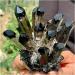 Natural Crystal Rough Crystals 1pc Black Phantom Quartz Crystal Cluster (Size : 1100-1200g) - Buy Online on GoSupps.com