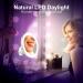 10x Magnifying Lighted Makeup Mirror with 360 Rotation, Touch Sensor Control, Natural Daylight LED Light - Perfect for Home, Bathroom, Vanity, and Travel - Buy Online on GoSupps.com