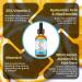 DermaSkin Vitamin C Serum with Hyaluronic Acid & Ferulic Acid | Anti Aging, Pore Minimizer, Dark Spot Remover | 20% Vit C Facial Serum (1 OZ) - Buy Online on GoSupps.com