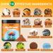 Mushroom Powder Supplement 75 Servings - 10 Mushroom Superfood Blend for Coffee & Smoothies - 8 oz with Lions Mane  Reishi  Chaga  Cordyceps  Rhodiola Rosea - Energy  Memory  Immune Support - Buy Online on GoSupps.com