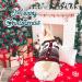 Cozy Christmas Dog Sweater | Warm Winter Knitted Pet Sweater | Reindeer Design for XS Dogs | Perfect Holiday Gift - Buy Online on GoSupps.com