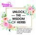 Heavenly Herbals Inc. Echinacea Q (Echinacea Angustifolia) Mother Tincture - Supports Healthy Immune Function Aids in Detoxification - 2. Fl oz - WellnessHerbs Ships from USA - Buy Online on GoSupps.com