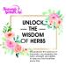 Berberis Aquifolium Q - Homeopathic Mother Tincture for Healthy Skin & Blood Cleansing - 2 fl. Oz. - Ships Internationally from USA - Buy Online on GoSupps.com