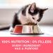 Purina ONE Healthy Kitten Formula - Nutrient-Rich Kitten Food for Growth - Buy Online on GoSupps.com
