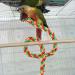PopetPop 2pcs Flexible Multi-Color Bird Rope Toys - Bungee Ropes for Parakeets Cockatiels & More | 30x1.5 cm - Buy Online on GoSupps.com