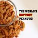 Peanuts from Hell - Ultimate Spicy Gourmet Gift Peanuts - Try if you dare! (Habanero from HELL) - Buy Online on GoSupps.com