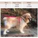 Durable Pink Dog Leash for Puppies | 1.1m Padded Pet Leash Strap - Ideal for International Shipping - Buy Online on GoSupps.com
