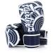 Fairtex Microfibre Boxing Gloves Muay Thai Boxing - BGV14, BGV1 Limited Edition, BGV12, BGV11, BGV18, BGV20 BGV14 BLU 8 oz