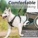 Eagloo Large Dog Harness for Training | Adjustable Anti-Pull Harness with Reflex Strips | Chest Harness for Labrador & Large Breeds | Brown XL (1 Pack) - Buy Online on GoSupps.com