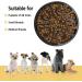 Decyam Slow Feeder Dog Bowl - Small/Medium Black | Non-Skid Puzzle Feeder for Pet Puppy - Bloat Stop Feeding Bowl - 2 Cup Capacity - Buy Online on GoSupps.com