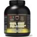 Healthy N Fit - 100% Whey Pro - Amino V2.0 - Vanilla Ice Cream - Vanilla 5 lb