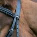 Shop Star Waldhausen Bridle Hannover in Black for Thoroughbreds | International Shipping Available - Buy Online on GoSupps.com