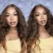 LuLu haireate 26 Inch Ombre Brown Deep Wave Wig | Long Curly Synthetic Heat Resistant Wig for Black Women - Daily Wear - Buy Online on GoSupps.com