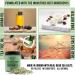 Amire Tea Tree Oil Exfoliating Body & Foot Scrub - Dead Sea Salt Acne & Dandruff Relief Moisturizing Argan Oil & Shea Butter - International Shipping - Buy Online on GoSupps.com