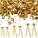 500 Pieces Mini Brads Fasteners Brass Paper Fasteners Metal Fasteners Round Pastel Brads for Scrapbooking Crafts DIY Projects (0.5 Inch, 0.7 Inch, 1 Inch)