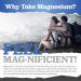 High Strength Magnesium Citrate 1480mg Vegan Capsules - 4 Month Supply | 444mg Elemental Magnesium | Non-Tablets | Premium Magnesium Supplement - Buy Online on GoSupps.com