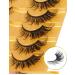 Goddenus False Cat Eye Manga Lashes - Natural Wispy Curly Mink, Fluffy CC Curl Fairy & Spikey Anime Fox Eye - 8 Pairs Pack - Buy Online on GoSupps.com