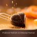 Lindt Chocolate Fine Herbe Mini Pralin s 90g - 18 Assorted Pralines | Gift Boxes (Pack of 4) - Perfect Chocolate Gift for Any Occasion - Buy Online on GoSupps.com