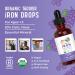MaryRuth's Iron Supplement for Toddlers | Liquid Iron Supplement for Children Ages 1-3 | Iron Supplement for Iron Deficiency | Ferrochel | Sugar Free | Vegan | Non-GMO | Gluten Free | 2 Fl Oz Grape - Toddler - Buy Online on GoSupps.com