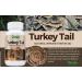 Parker Naturals Organic Turkey Tail Mushroom Capsules - 120ct Immune System Support - Buy Online on GoSupps.com