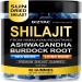BIZYAC Organic Shilajit Gummies for Men and Women with Sea Moss & Ashwagandha 100% Himalayan Extract with 105+ Trace Minerals Burdock Root & Lion s Mane Vegan Sugar-Free 60 Gummies