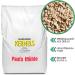 Paul's Mhle Sunflower Seeds for Birds - Shelled New Harvest 2023 - 12.5 kg (1 Pack) | Premium Bird Feed for All Birds - Buy Online on GoSupps.com