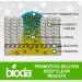 Bioda Multi-Purpose Probiotic Enzyme Cleaner & Deodorizer - Professional Strength for Trash Cans Pet Stains Drains Floors & Bathrooms - Made in USA | 1 Gallon - Buy Online on GoSupps.com