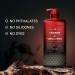 Old Spice Body Wash for Men The Spice Alchemist Collection 24/7 Cologne Infused Hydration No Trade Off Formula Free of Phthalates Silicones & Dyes Cashmere + Vanilla Wood Scent 20 oz - Buy Online on GoSupps.com