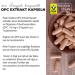 Raab Vitalfood OPC Extract Capsules - 90 Vegan & Gluten-Free Grape Seed Oligomeric Proanthocyanidins for Optimal Health - Buy Online on GoSupps.com