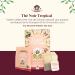 English Tea Shop - Organic Tropical Black Tea - 20 bags - Fairtrade organic black tea with coconut cocoa mango and - Buy Online on GoSupps.com