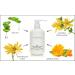 Raya Aloe Vera and Herbs Soothing Gel | Effective Moisturizer for Face & Body | Relieves Dry Chapped & Irritated Skin - Shop Internationally - Buy Online on GoSupps.com