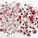Weraru Bloody Red Eyeball Candy Cake Toppers - Halloween & Christmas Party Decorations - 6.8oz (Mixed Sizes) - Buy Online on GoSupps.com