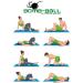Bomb-Ball Original Massage Ball Set - Ultimate Muscle Relaxation & Self-Massage with Fascia & Lacrosse Balls (Green/Gray/Blue) - Buy Online on GoSupps.com