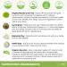 Teami Green Tea Detox Mask - Deep Cleansing Pore Minimizer & Blackhead Remover with Bentonite Clay - Buy Online on GoSupps.com