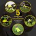 4Legriend Dog Safety Vest - High Visibility XL in Yellow | Outdoor Protection for Dogs 5 Sizes Day & Night Safety from Cars & Hunting Accidents - Buy Online on GoSupps.com