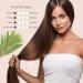 Natural Riches Tea Tree Shampoo - Fights Dandruff with Pure Tea Tree Oil - Lavender Peppermint Formula - 16 fl oz - Buy Online on GoSupps.com