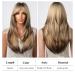 Shop Testar Blonde Brown Ombre Wigs for Black Women | Long Layered Heat-Resistant Synthetic Wig for Daily & Party Use - Buy Online on GoSupps.com