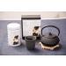 Japanese Sencha with Matcha Green Tea -100% Japanese Green Tea by CHILL TEA Tokyo - Plastic-Free Tea Bags - First Flush - Fresh Umami - (30 Tea Bags) - Buy Online on GoSupps.com