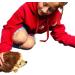 Paws Plush Eco Toy - Deluxe Cuddly and Soft 100% Recycled Material (Hedgehog) - Buy Online on GoSupps.com