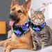 Shop Colorful Dog Scarves - Triangular Scarves for Small Medium & Large Dogs & Cats - 2 Pack - Buy Online on GoSupps.com