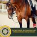 Multi Vitamins for Horses - 1L Liquid with Zinc B Complex Trace Elements & Minerals for Mare & Foal - Buy Online on GoSupps.com