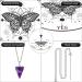 White Butterfly Pendulum Board Dowsing Necklace Kit - Divination Altar Witchcraft Crystal Game for Chakra Healing - Buy Online on GoSupps.com