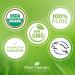 Plant Therapy Organic Frankincense Serrata Essential Oil - USDA Certified, 100% Pure & Undiluted - Natural Aromatherapy - 10 mL Therapeutic Grade - Buy Online on GoSupps.com