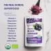 Poudre de cassis bio LOOV labor e partir de cassis entiers 100% baies biologiques lyophilis es et r duites en poudre cultiv es en Europe du Nord sans sucre ajout 113 g - Buy Online on GoSupps.com