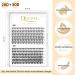 Individual Cluster Eyelashes QUEWEL - 240 Pieces 0.07C Curl DIY Eyelash Extensions Natural Look Mix 8-14mm (20D+30D) - Buy Online on GoSupps.com